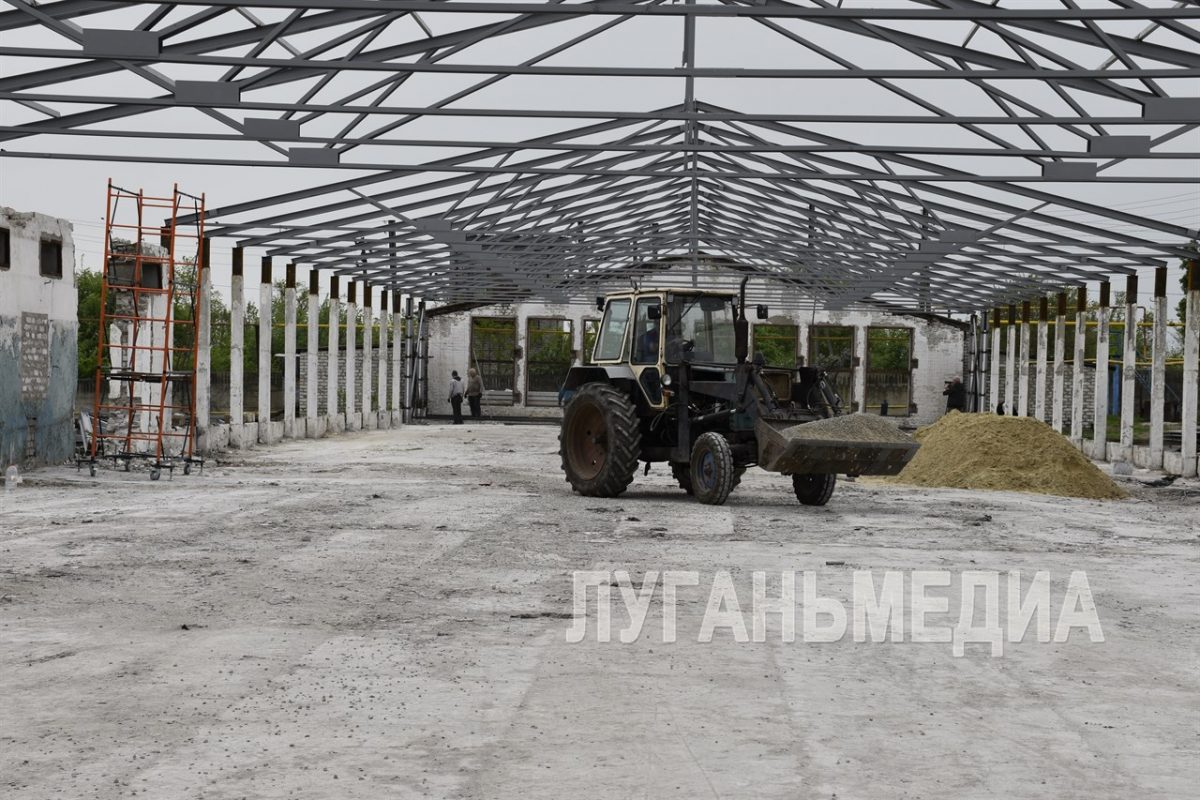 Цены на яйца в ЛНР останутся низкими: ООО “Авис” наращивает мощности
