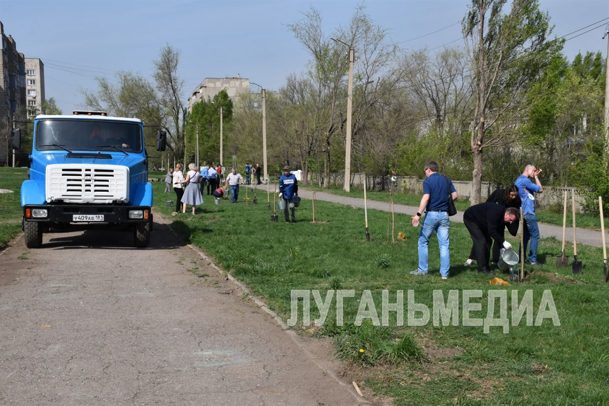 Алчевск присоединился к международной акции «Сад памяти»