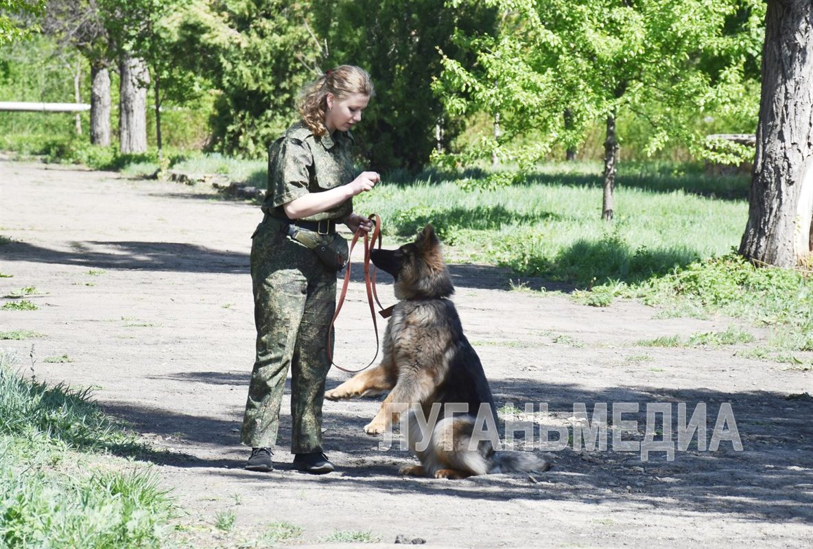 В Красном Луче появился клуб любителей собак и кинологии