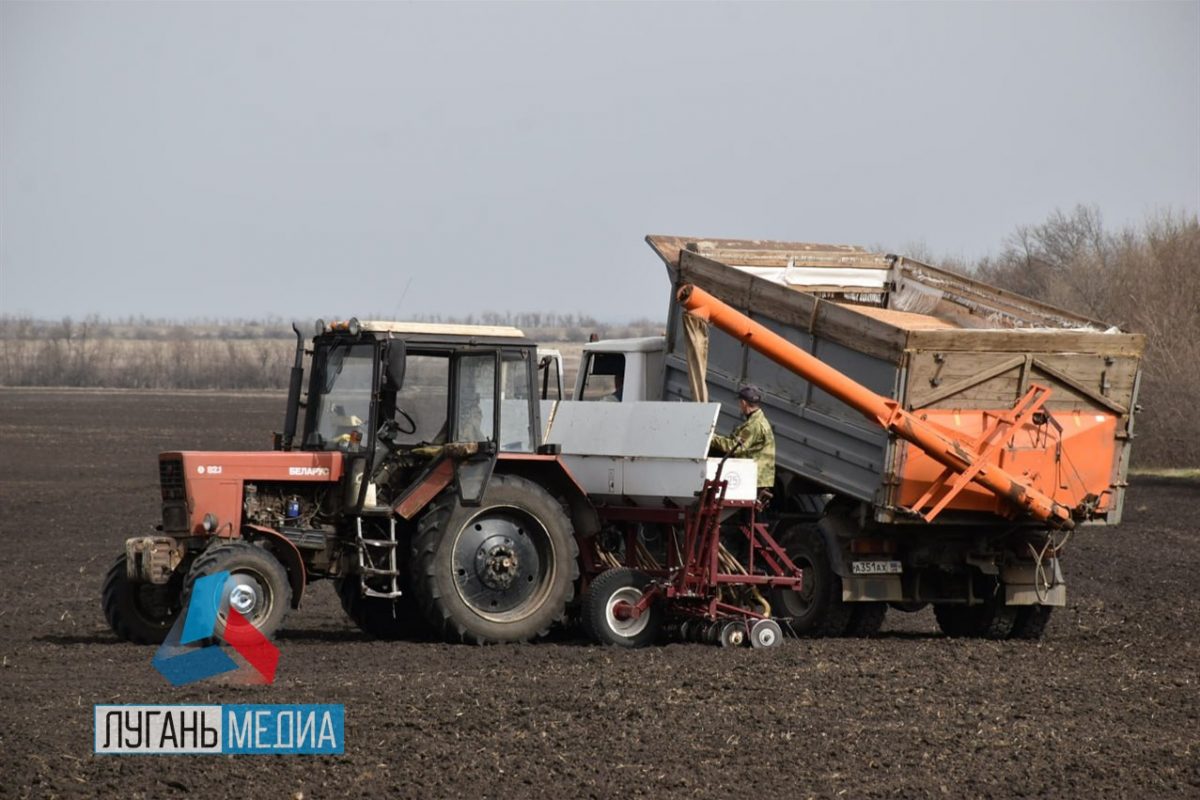 В Свердловском муниципальном округе продолжается весенняя посевная кампания, которая стартовала в конце марта