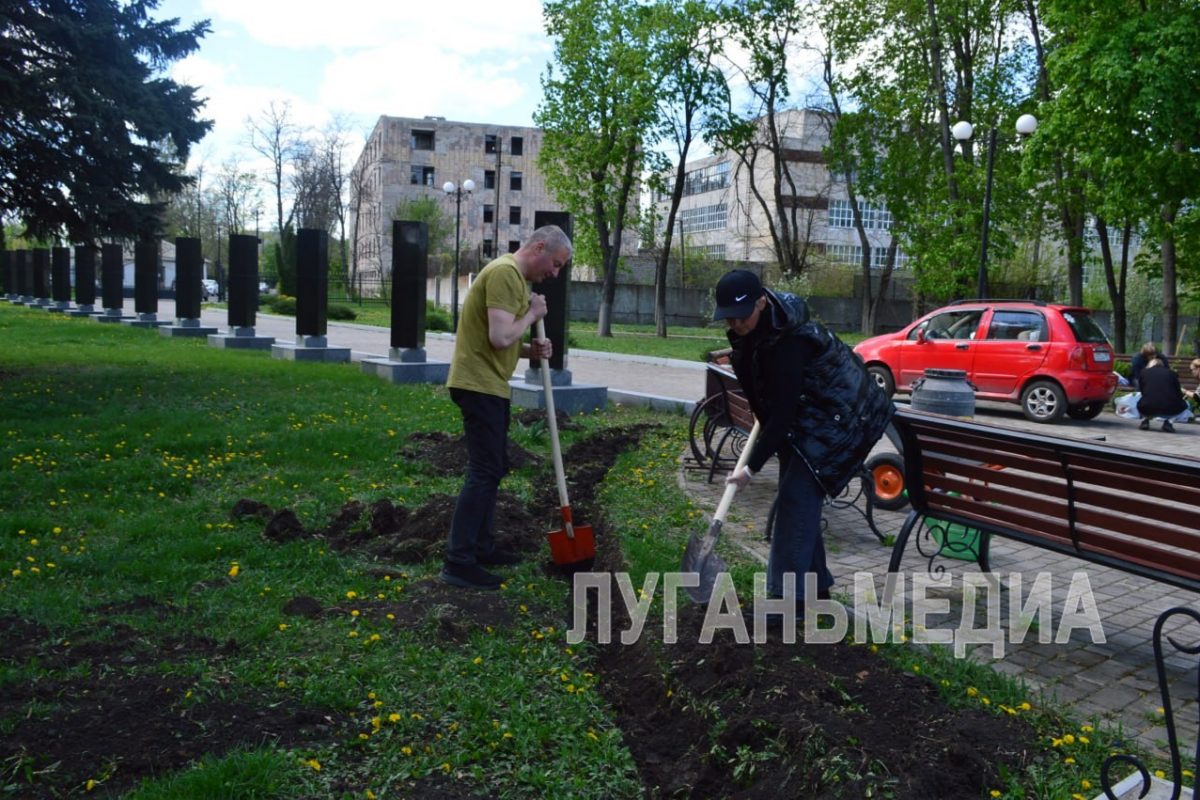 Энтузиасты создают в свердловском парке живую изгородь