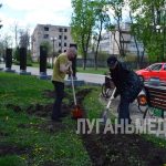 Энтузиасты создают в свердловском парке живую изгородь