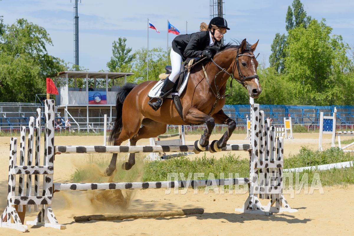 В Луганске прошли региональные соревнования по конному спорту (конкур)