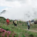 Порядка 8 тысяч заявок поступило для участия в форуме «Экосистема. Заповедный край»