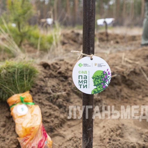 В новых регионах России высадки деревьев акции «Сад памяти» в честь бойцов СВО продлятся до конца года