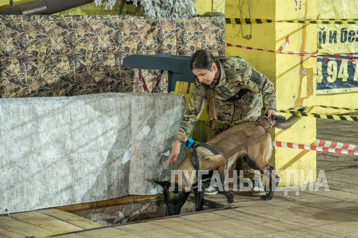 В Луганске прошел семинар по трюковой подготовке собак «Контакт собаки с хозяином на позитивном подкреплении»