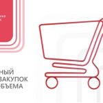 15 ноября, официально стартовала работа электронного магазина закупок малого объема Луганской Народной Республики