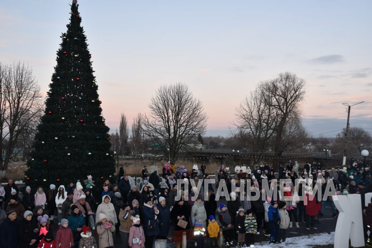 В Беловодске открыли новогоднюю елку