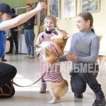 В Северодонецк приехали милые и пушистые помощники – собачки корги отряда «Маруся и друзья»