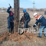 Краснодонские энергетики продолжают замену электроопор