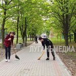 Жители Кировска присоединились к Всероссийскому субботнику
