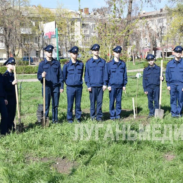 В рамках акции «Сад памяти» в Луганске высадили 80 деревьев
