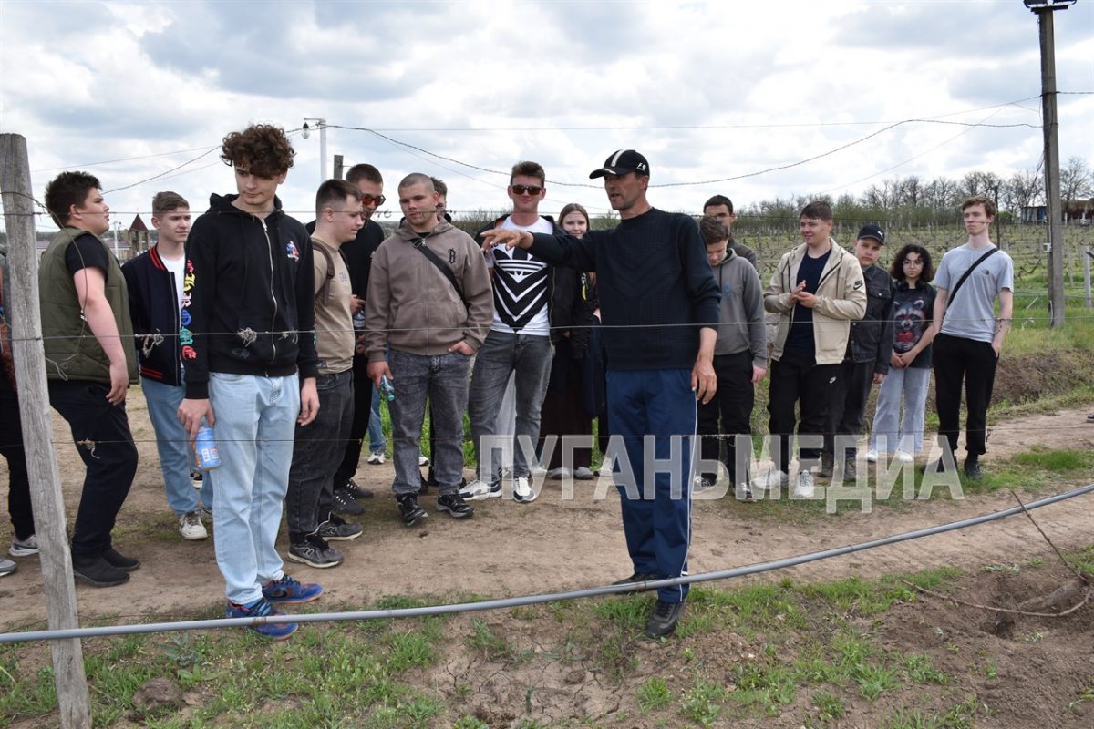 В Перевальском районе на виноградных полях прошли практические занятия для молодежи
