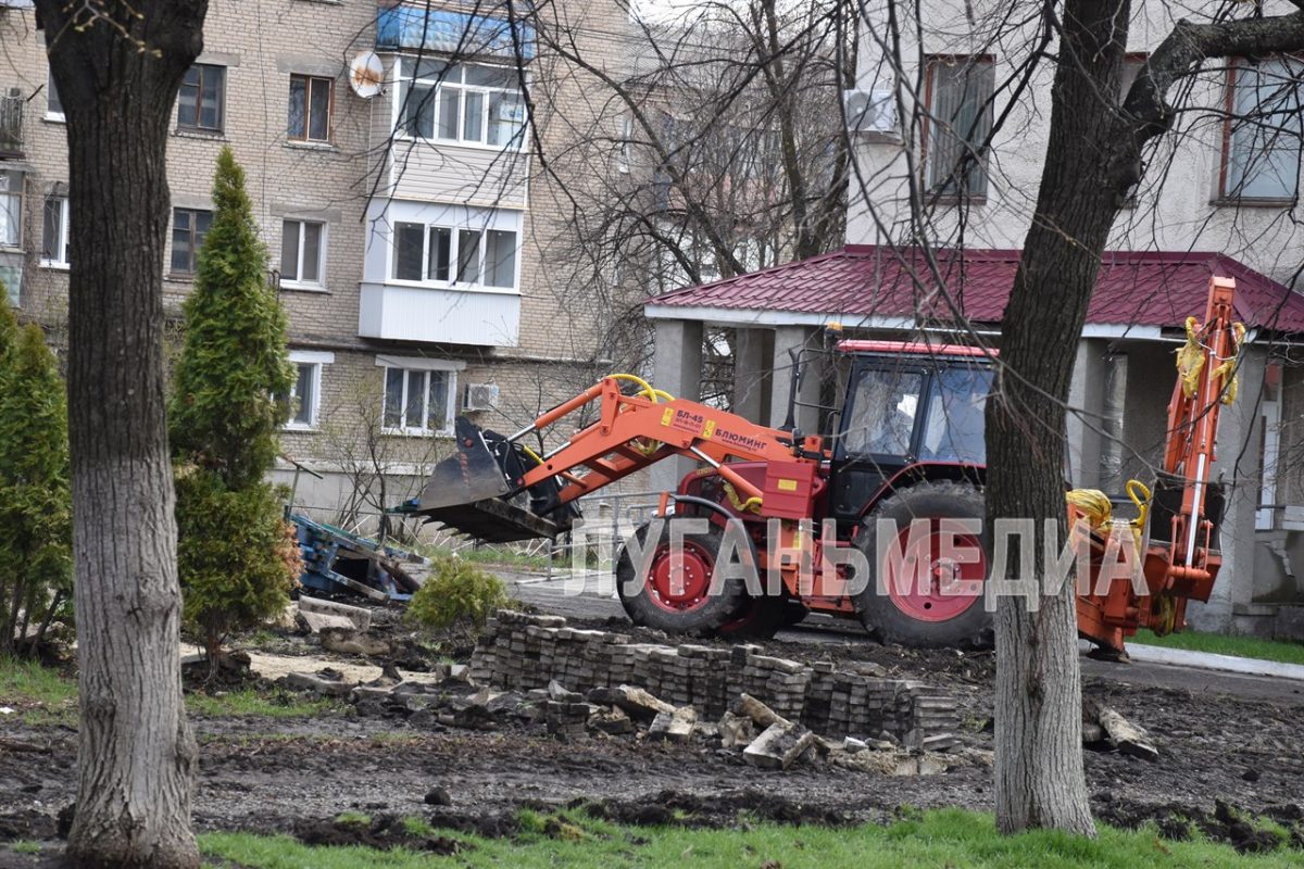 В Ровеньках началась реализация проекта «Каштановая аллея»