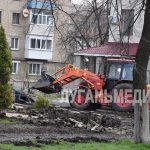 В Ровеньках началась реализация проекта «Каштановая аллея»