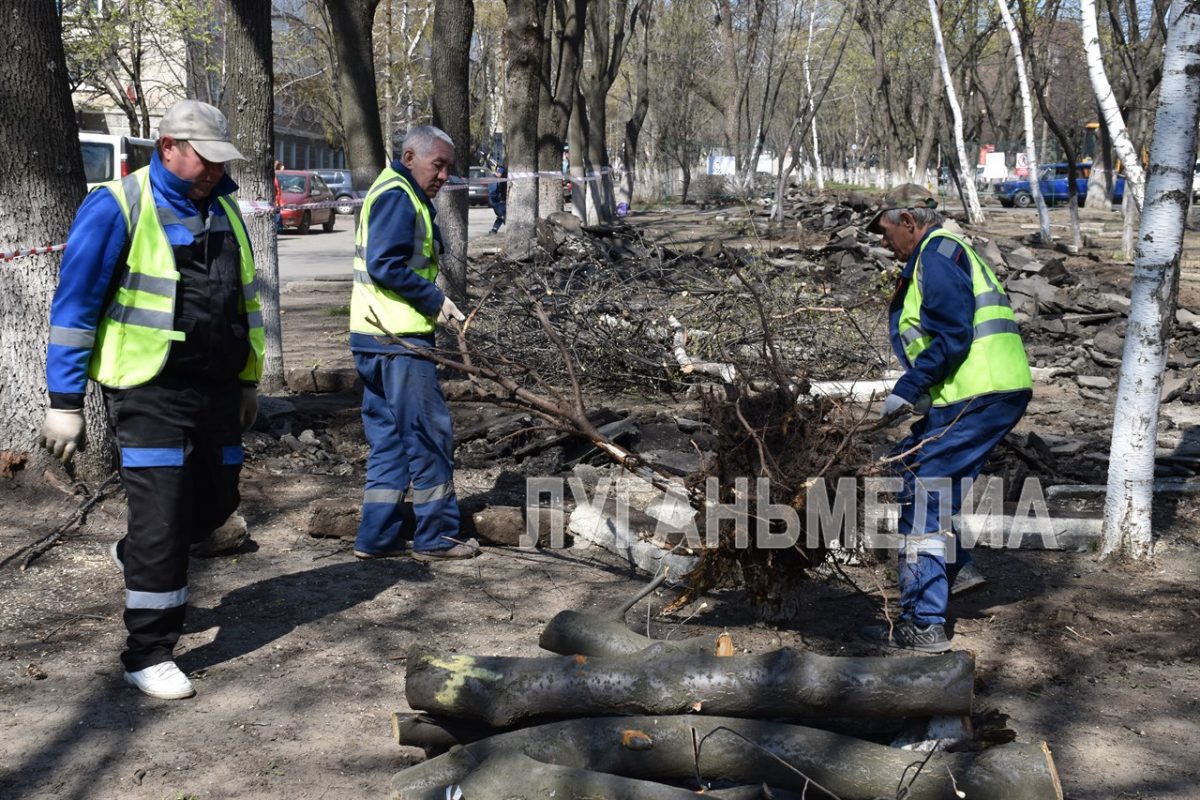 В Ровеньках стартовали работы по благоустройству центральной аллеи города