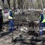 В Ровеньках стартовали работы по благоустройству центральной аллеи города