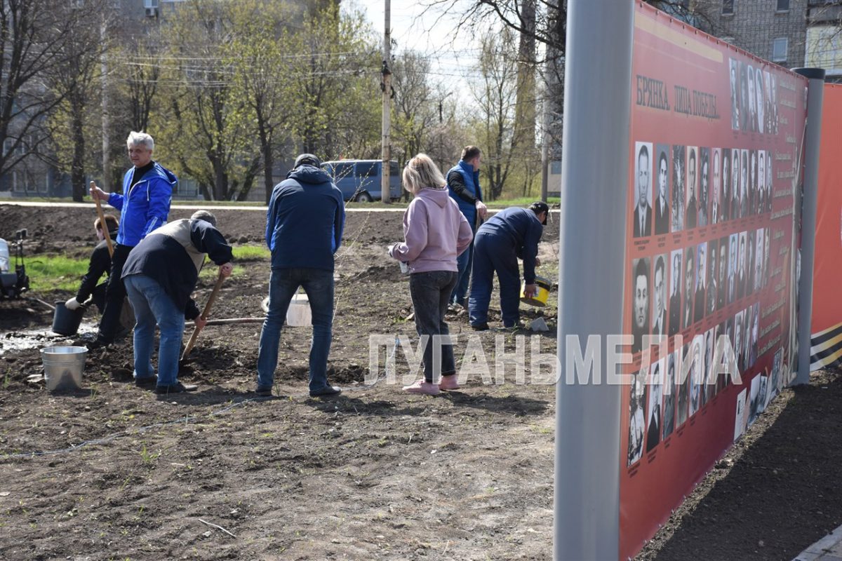 50 саженцев березы высажены в Брянке на Аллее Славы «Брянка. Лица Победы»