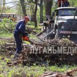 Стахановчане присоединились ко Всероссийскому субботнику