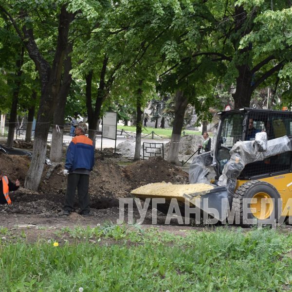 В Ровеньках продолжается реализация проекта «Каштановая аллея»
