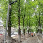 В Ровеньках продолжаются работы по благоустройству аллеи