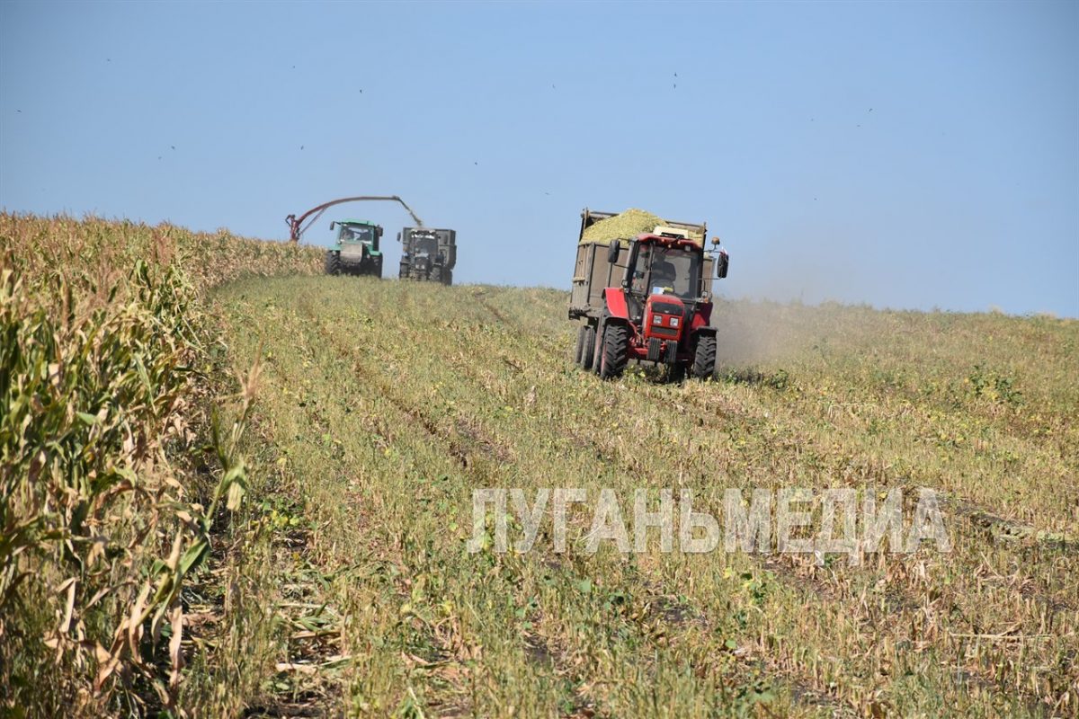 В Новопсковском районе продолжается активная заготовка кормов работниками СПК «Слобожанский»