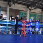 В спортшколе Брянки проходит турнир по муайтай