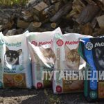 Ко Дню бездомных животных представители партии «Единая Россия» посетили приют для бездомных собак «Дай…