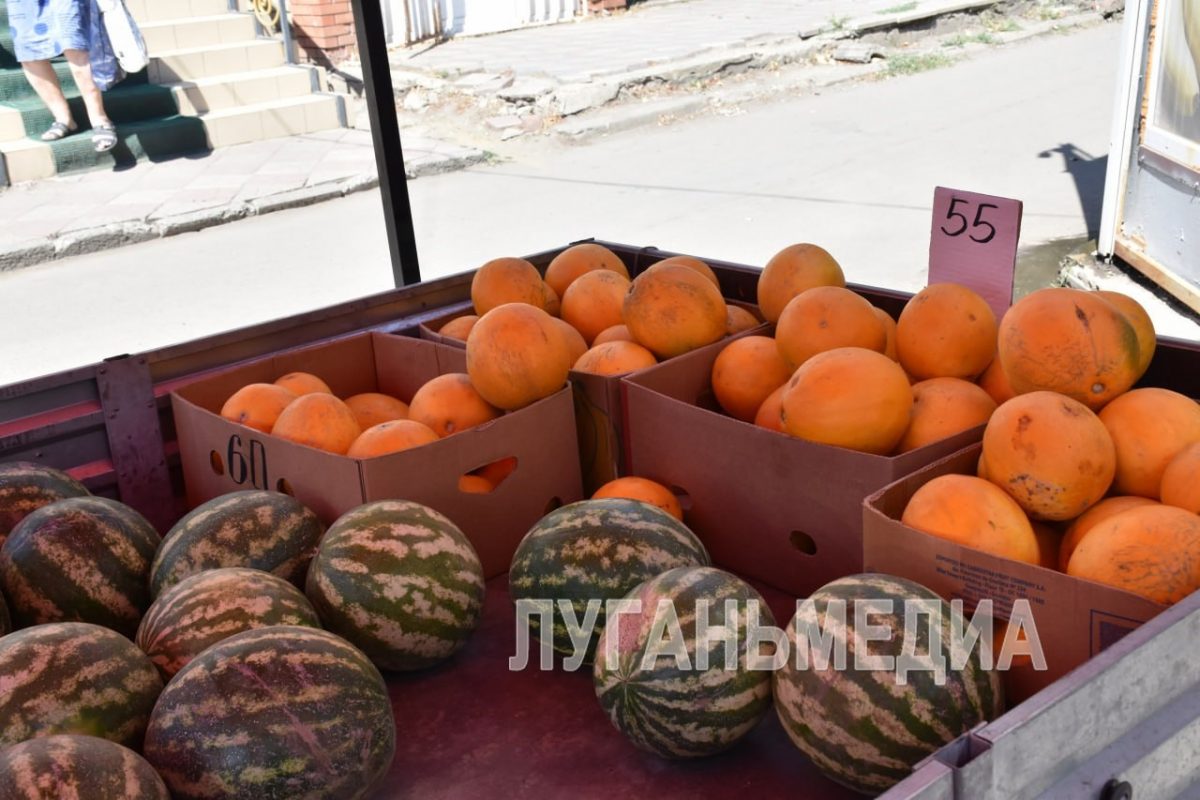 Какой контроль качества проходят арбузы перед реализацией?