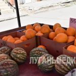 Какой контроль качества проходят арбузы перед реализацией?
