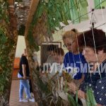 В Первомайске плетут маскировочные сети для нужд СВО.