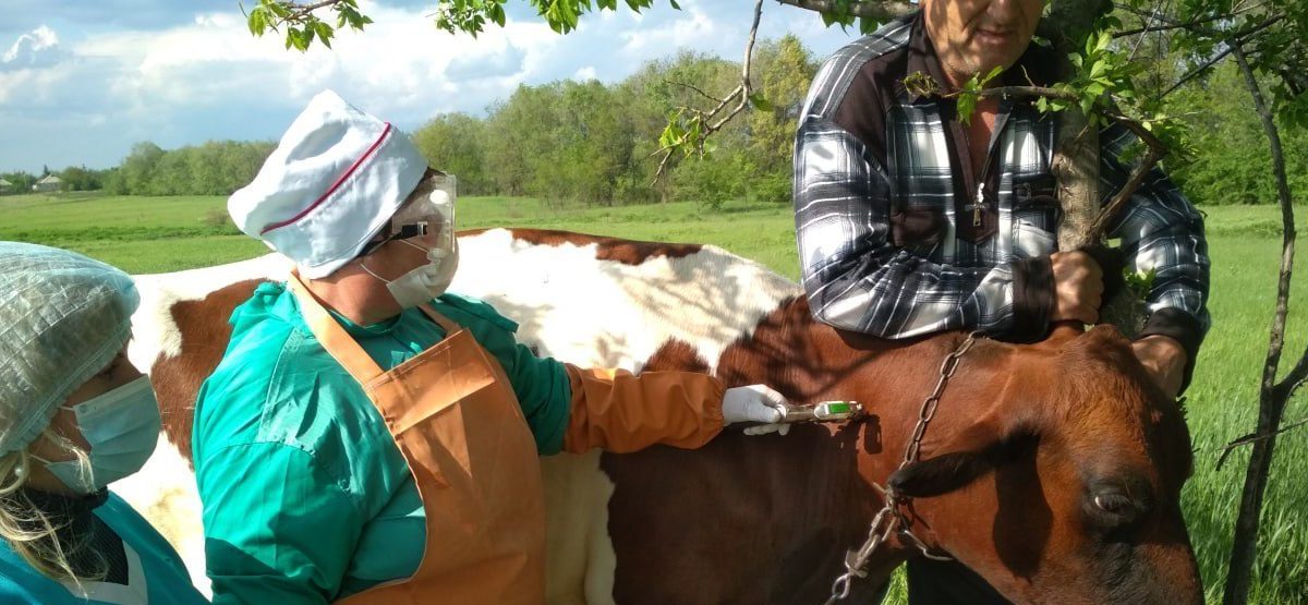 Профессия по зову сердца
