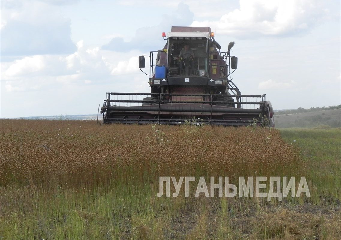 Аграрный потенциал Перевальщины: Итоги года и перспективы развития