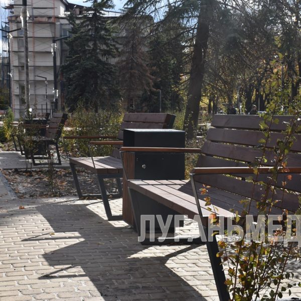 В Ровеньках продолжается реализация проекта «Каштановая аллея»