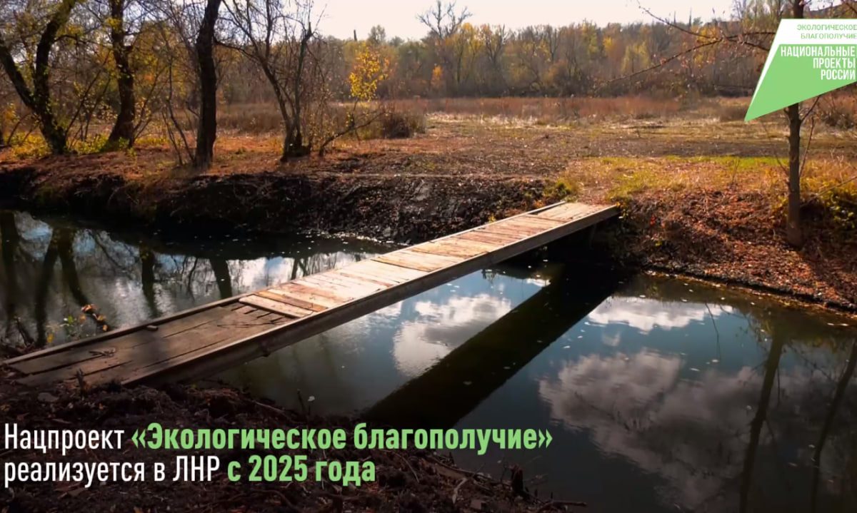Леонид Пасечник: «Национальный проект «Экологическое благополучие» реализуется в республике с 2025 года»