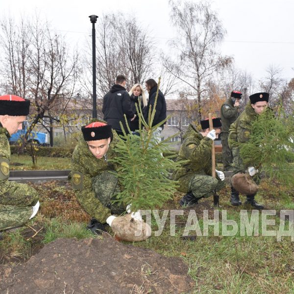 В Алчевске высадили Аллею памяти