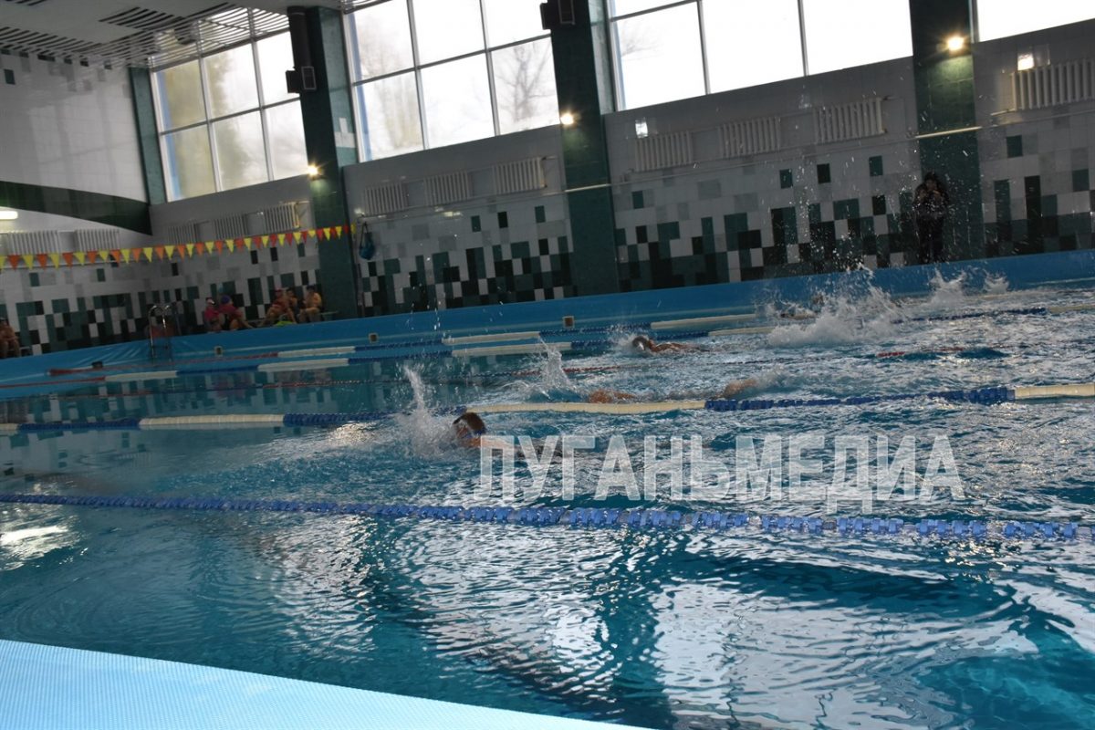 В спорткомплексе Антрацита среди школьников прошел турнир по плаванию