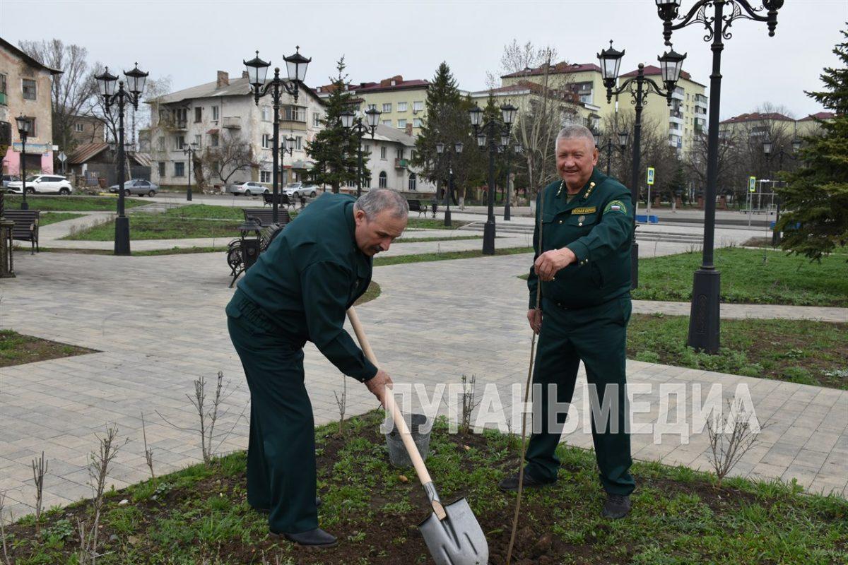 Очередной визит побратимов из Ставропольского края порадовал Антрацит высадкой саженцев молодых деревьев