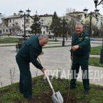 Очередной визит побратимов из Ставропольского края порадовал Антрацит высадкой саженцев молодых деревьев