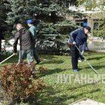 Активное участие во Всероссийском субботнике приняли и кировчане