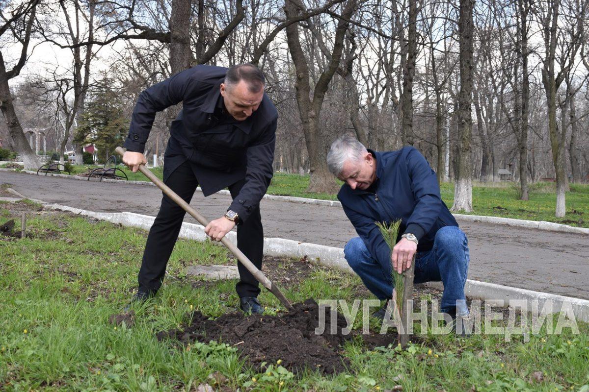 Ровеньки присоединились к международной акции «Сад памяти»