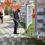Брянковчане приняли участие во Всероссийском субботнике