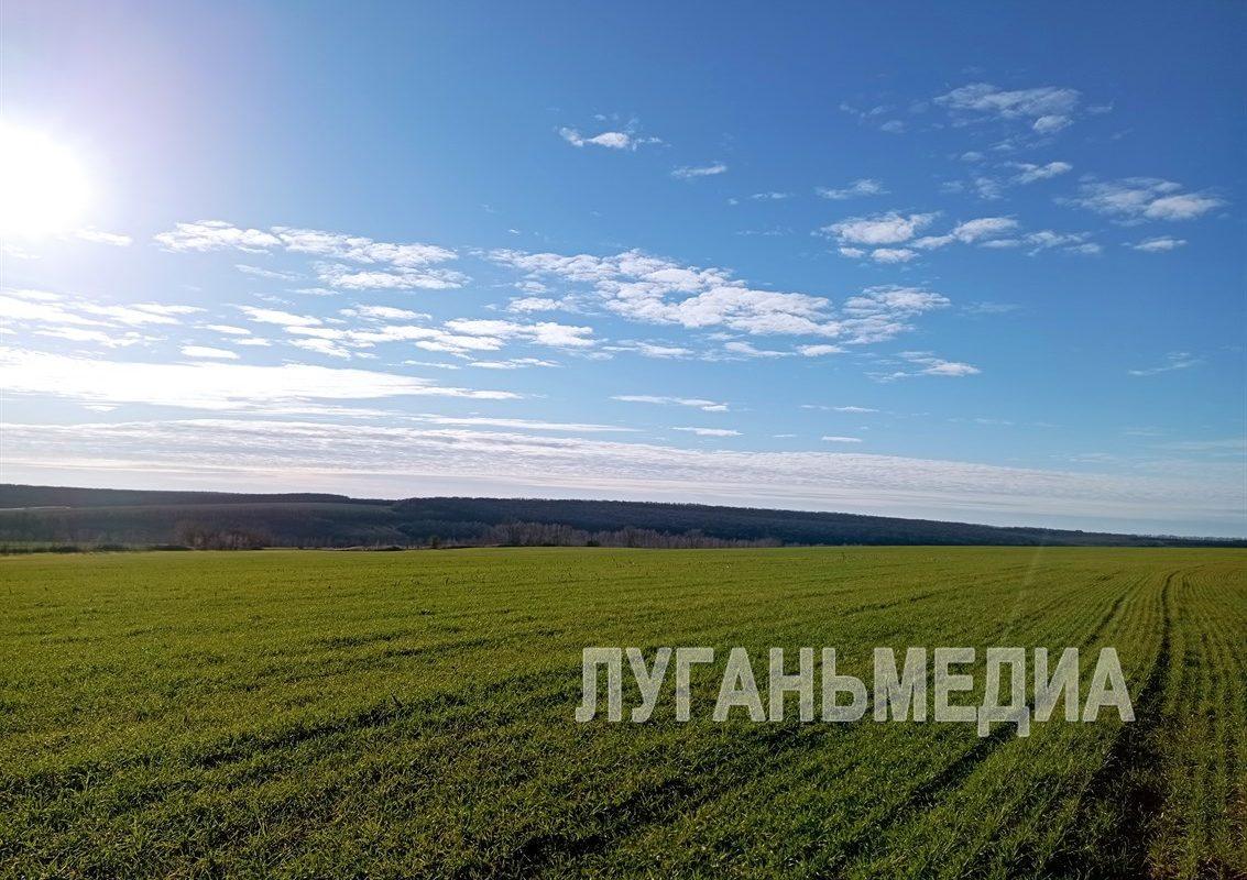 Новопсковскому району исполнилось 95 лет!