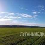 Новопсковскому району исполнилось 95 лет!