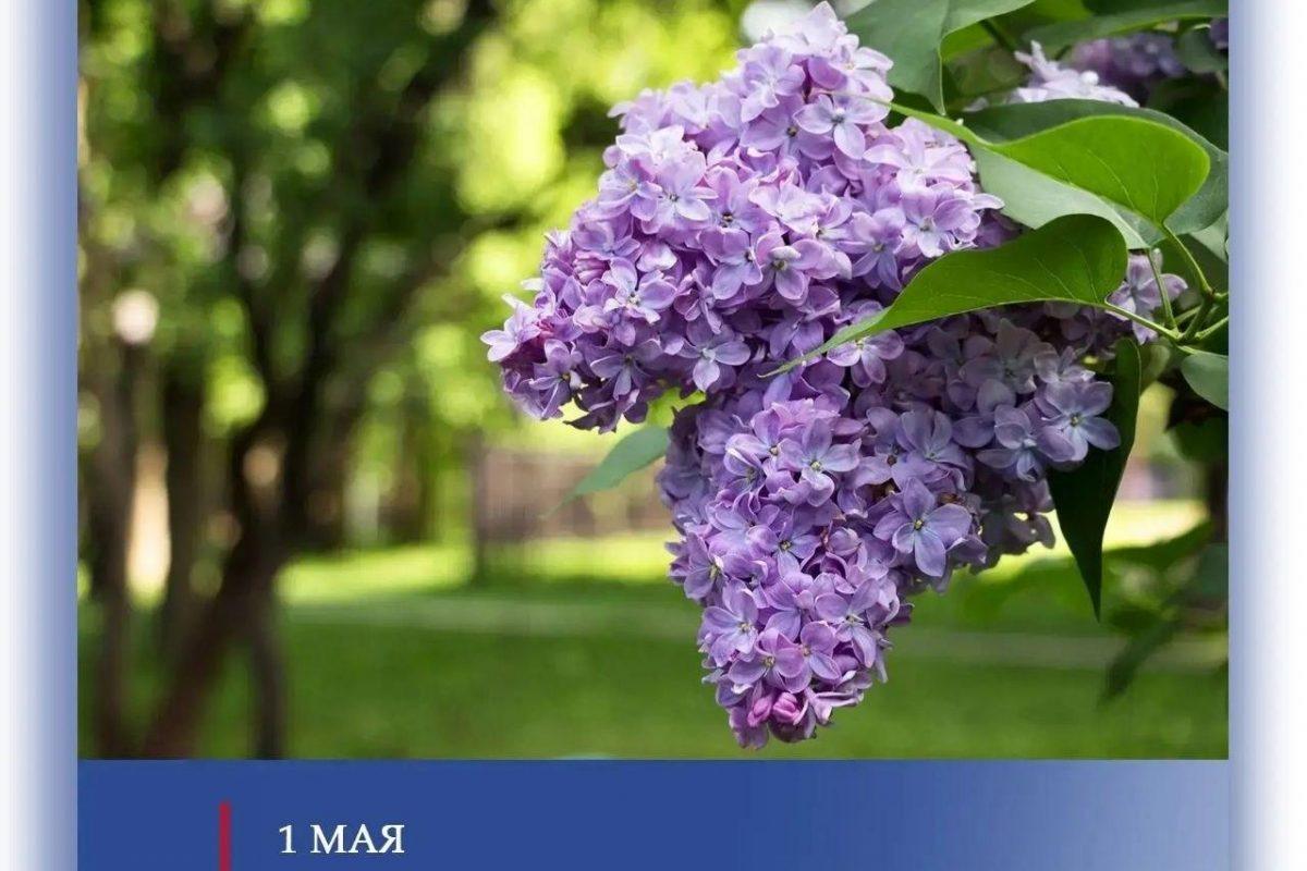 Поздравление Председателя Народного Совета Луганской Народной Республики Дениса Мирошниченко с Первомаем