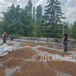 В детском саду «Сказка» города Первомайска активными темпами ведутся капитальные работы по обновлению кровли