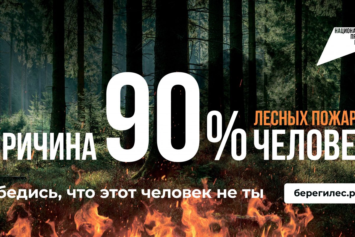 На опережение стихии: профилактика и борьба с лесными пожарами