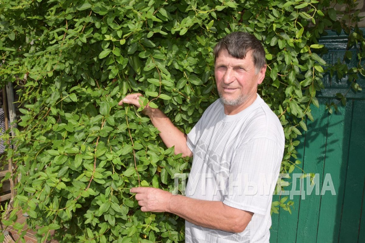 Иван Селезнев: «Кто земли родной не знает, тот, наверно, пропадет!»